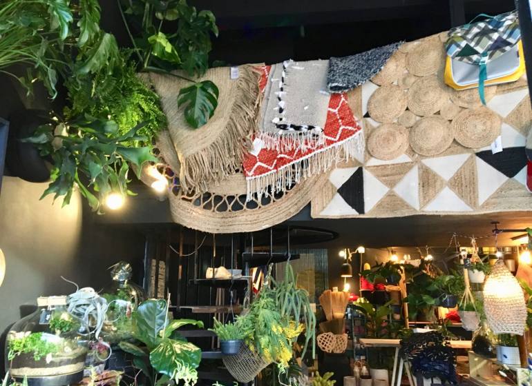 Jupiters boutique de plantes et objets à Marseille tapis