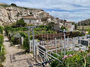Archipel du Frioul, les îles au large de Marseille (Jardin Partagés)