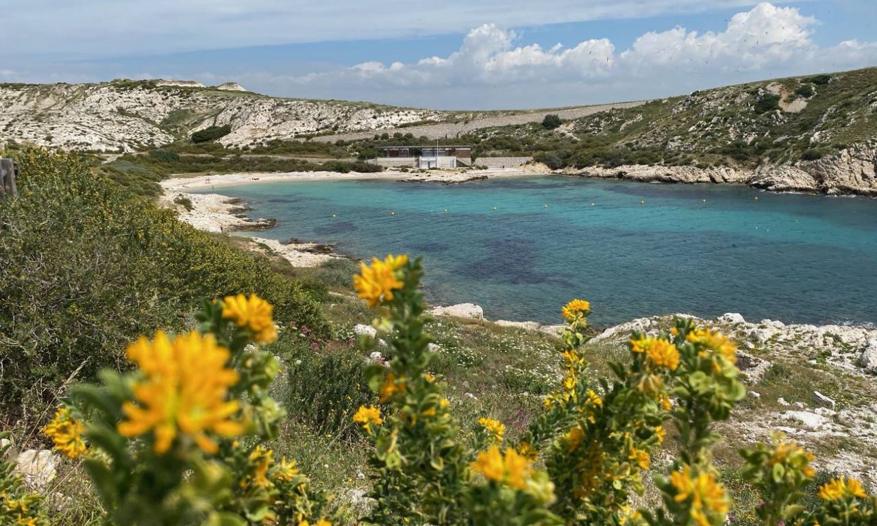 Archipel du Frioul, les îles au large de Marseille (plages)