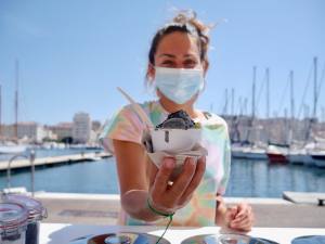 Vente ambulante de glaces et de sorbets à Marseille (pot glace)