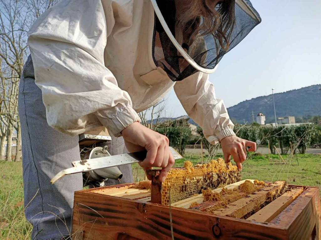 Jamie Lozoff, apicultrice à Marseille (jamie sort un cadre de ruche)