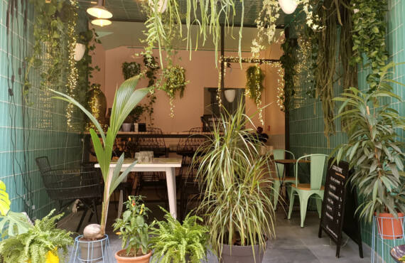 Gingembre, Vietnamese restaurant in Marseille : terrace and plant