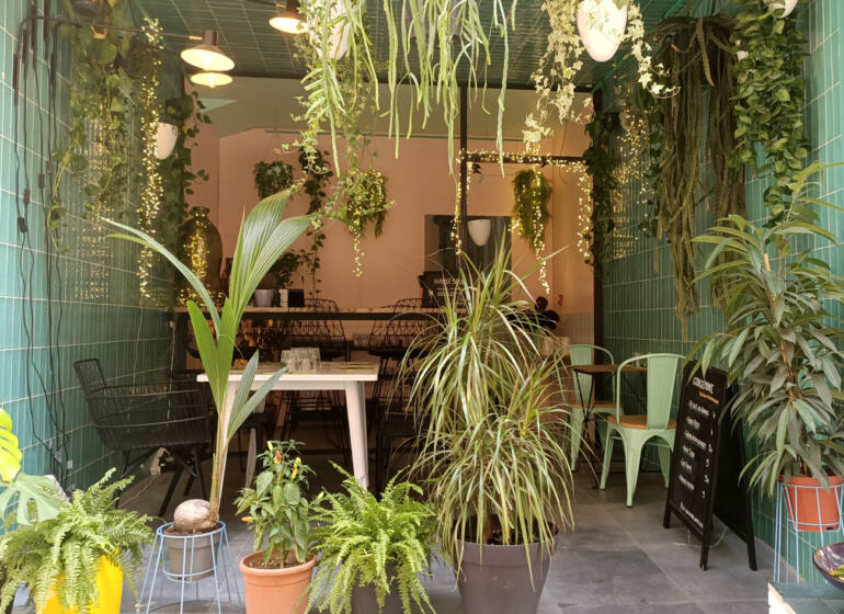 Gingembre, restaurant vietnamien à Marseille : terrasse et plantes