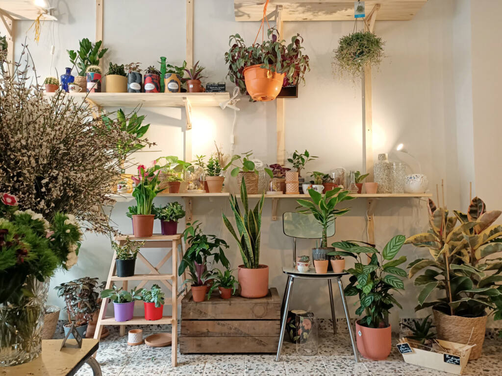 La Butinerie, Florist-cafe in Marseille, city guide love spots (plants)