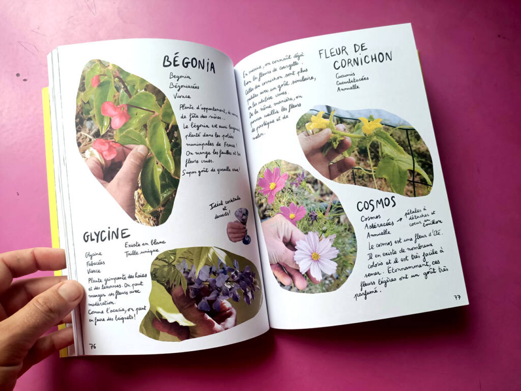 Zones à cueillir, livre de botanique par Camille Gasnier, Caroline Decque et Amélie Laval : pages intérieures