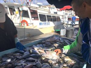 Bouillabaisse Turfu – Seafood street food in Marseille – City Guide Love Spots (fish)