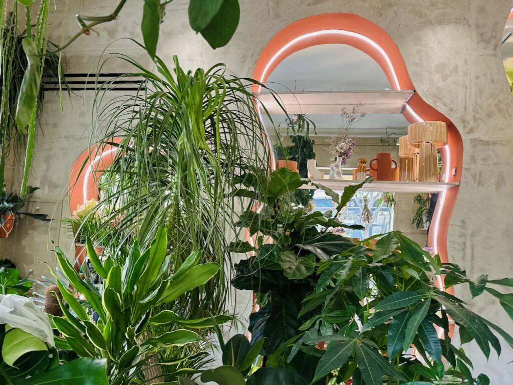 Canopée, jardinerie et fleuriste à Marseille : intérieur