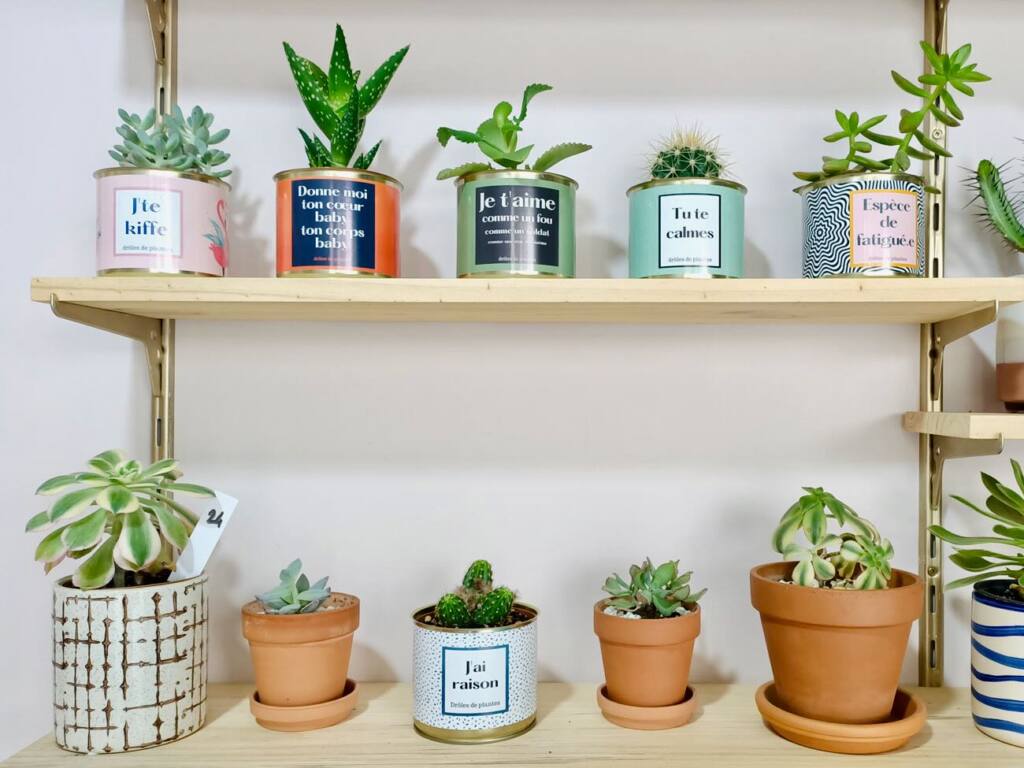 Drôles de plantes - Cacti in personalised pots in Marseille - City Guide Love Spots (the plants)