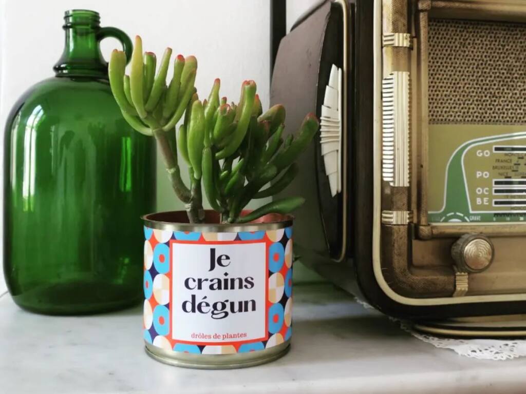 Drôles de plantes - Cacti in personalised pots in Marseille - City Guide Love Spots (the pot)