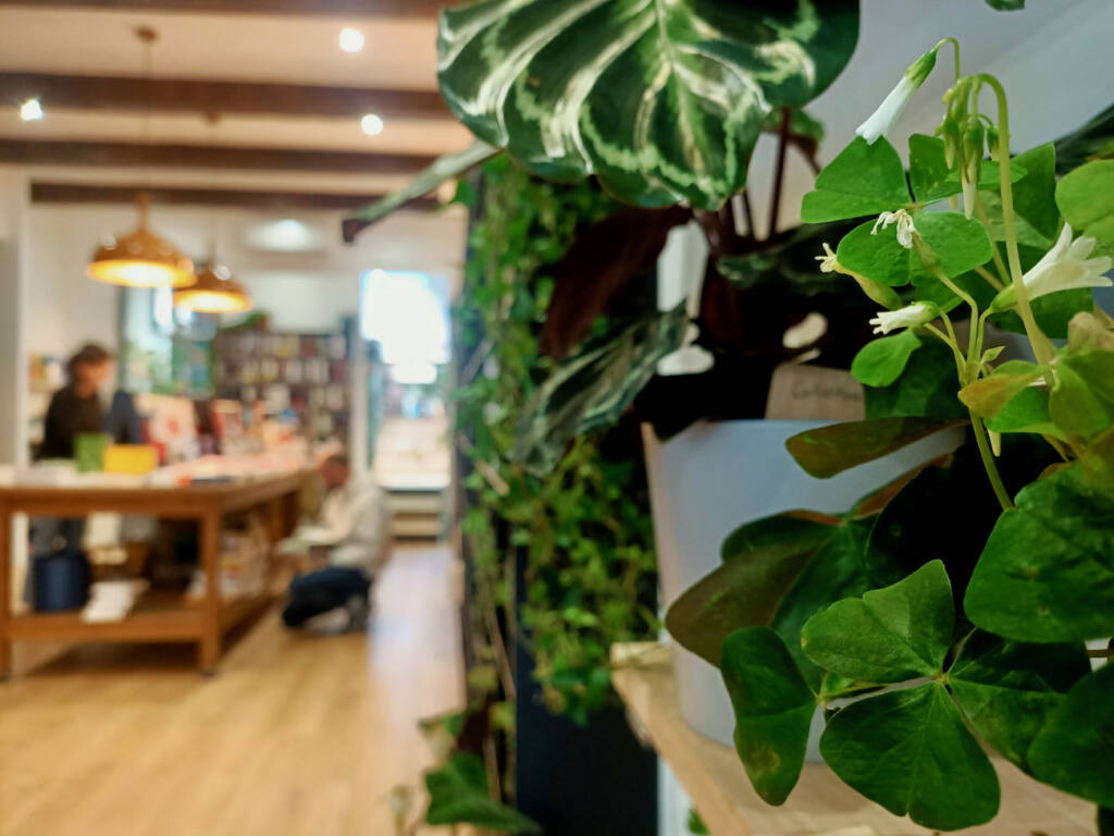 Les sauvages, librairie à Marseille : livres et plantes