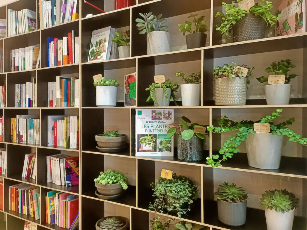 Les sauvages, librairie à Marseille : livres et plantes