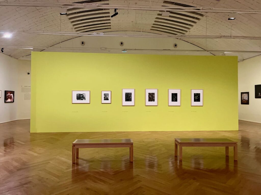 L'Œil objectif au musée Cantini présente une exposition captivante sur un siècle de photographie, des avant-gardes des années 1930 aux œuvres contemporaines, révélant la richesse et la diversité de cet art.