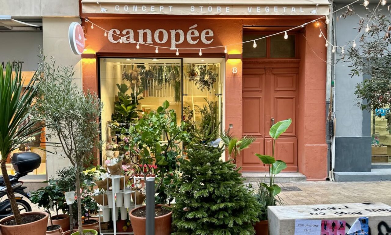 Canopée est à la fois fleuriste, pépinière et concept store végétal. On y trouve tout type de plantes, un bar à fleur, de la décoration et tout le nécessaire pour verdir aussi bien son esprit que son intérieur. (façade)