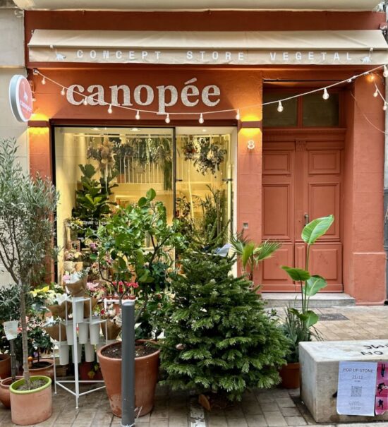 Canopée est à la fois fleuriste, pépinière et concept store végétal. On y trouve tout type de plantes, un bar à fleur, de la décoration et tout le nécessaire pour verdir aussi bien son esprit que son intérieur. (façade)