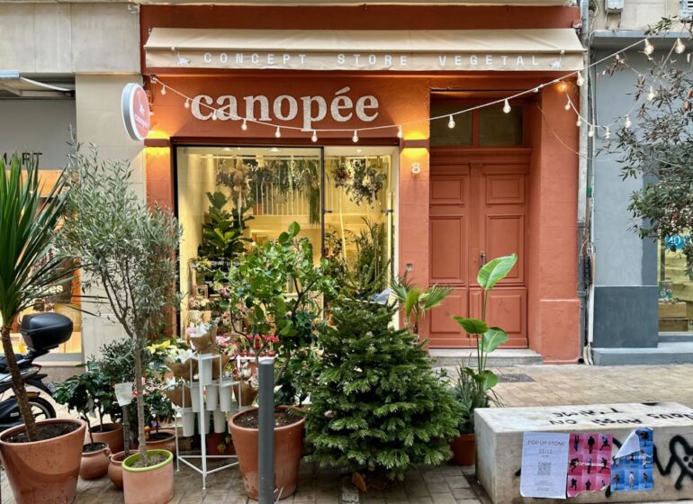 Canopée est à la fois fleuriste, pépinière et concept store végétal. On y trouve tout type de plantes, un bar à fleur, de la décoration et tout le nécessaire pour verdir aussi bien son esprit que son intérieur. (façade)