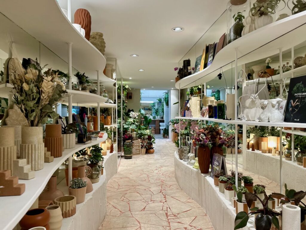 Canopée est à la fois fleuriste, pépinière et concept store végétal. On y trouve tout type de plantes, un bar à fleur, de la décoration et tout le nécessaire pour verdir aussi bien son esprit que son intérieur. (couloir)