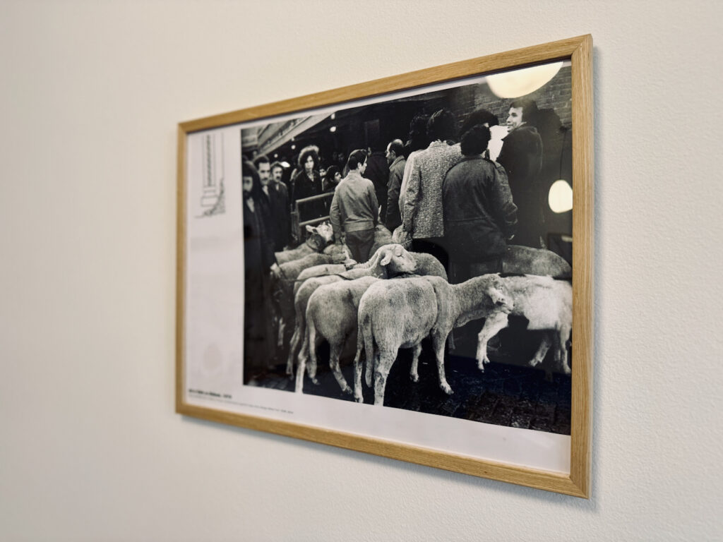 Kazdal est une sandwicherie qui propose des compositions à base de recettes typiques du Maroc. En formule, ils s’accompagnent de frites maison. (déco)