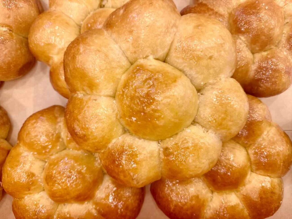 Poumpo est un café et un snack situé à Côté du Vieux-Port de Marseille. Il est spécialisé dans la pompe à l'huile provençale, déclinée en version salée et sucrée du petit déjeuner au goûter en passant par le lunch (dessert)