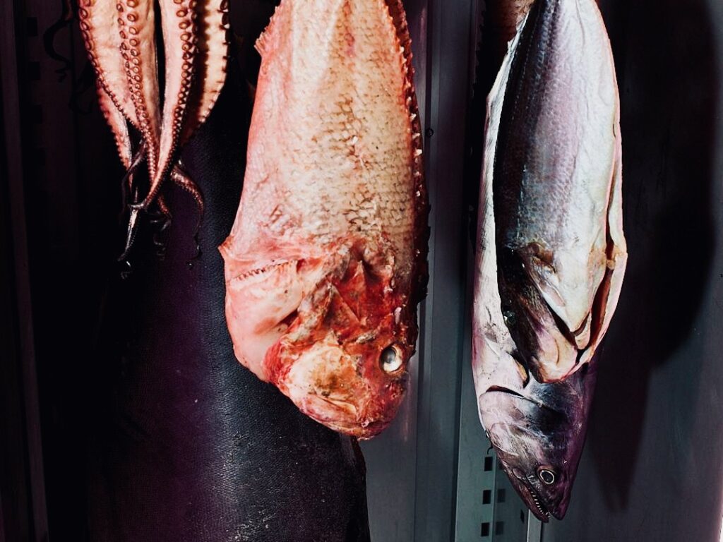 Le Saint-Esprit est un restaurant bistronomique situé dans le quartier du Panier à Marseille où officie le chef Javier Meneses