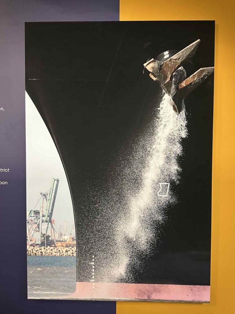 Marseille vue par les Detaille. Exposition de 164 ans de photographies au Musée d'histoire de Marseille (port autonome)