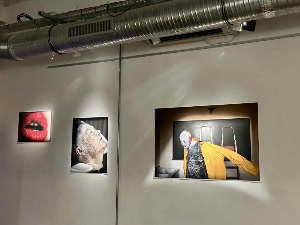 La Mûrisserie est un tiers lieu culturel situé sur le Cours Julien à Marseille. Il propose un bar, une cantine, un lieu culturel et un espace coworking (expo)