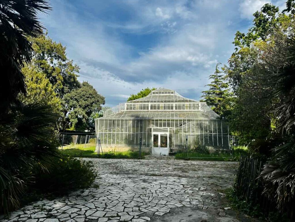 Au cœur du Parc Borély, le Jardin botanique Édouard-Marie Heckel offre une parenthèse inattendue. Derrière ses allées discrètes se cache un véritable musée du vivant, où plus de 3 000 espèces venues des cinq continents composent un paysage à la fois scientifique et poétique. Un lieu à part, où l’on voyage sans quitter Marseille (Serre)