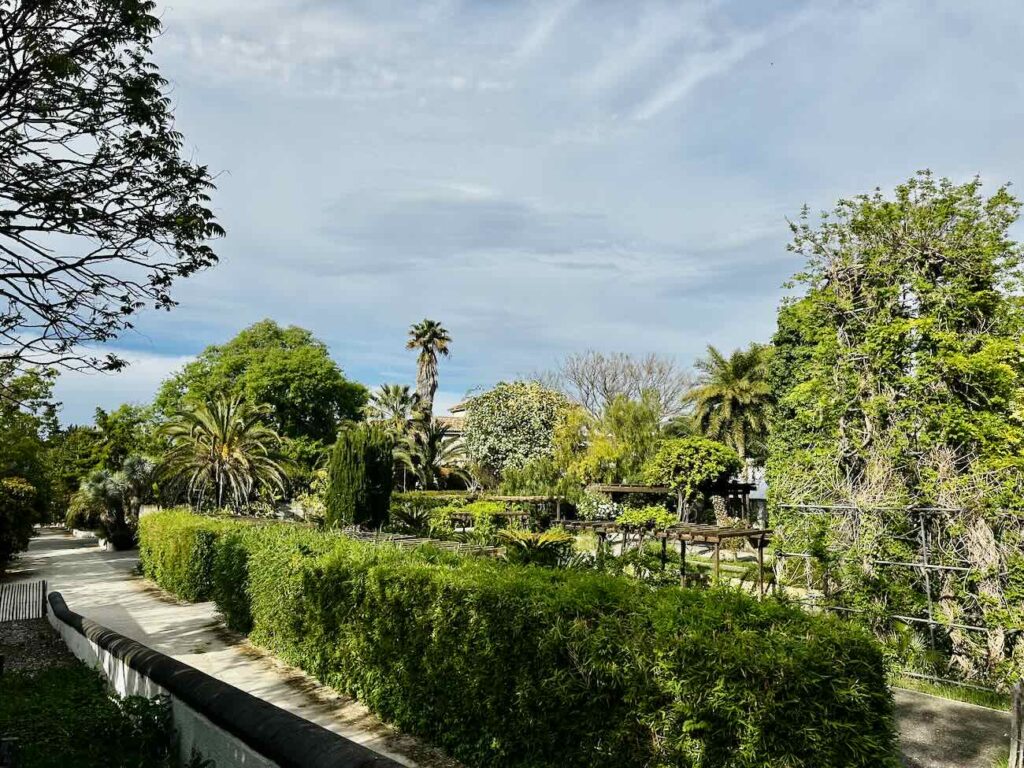 Au cœur du Parc Borély, le Jardin botanique Édouard-Marie Heckel offre une parenthèse inattendue. Derrière ses allées discrètes se cache un véritable musée du vivant, où plus de 3 000 espèces venues des cinq continents composent un paysage à la fois scientifique et poétique. Un lieu à part, où l’on voyage sans quitter Marseille (palmeraie)