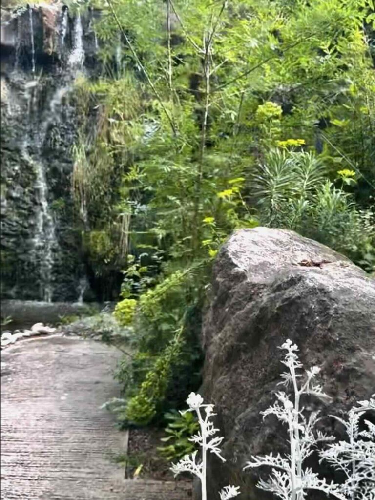 Au cœur du Parc Borély, le Jardin botanique Édouard-Marie Heckel offre une parenthèse inattendue. Derrière ses allées discrètes se cache un véritable musée du vivant, où plus de 3 000 espèces venues des cinq continents composent un paysage à la fois scientifique et poétique. Un lieu à part, où l’on voyage sans quitter Marseille (cascade)