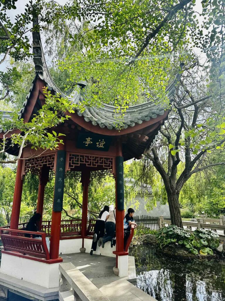 Au cœur du Parc Borély, le Jardin botanique Édouard-Marie Heckel offre une parenthèse inattendue. Derrière ses allées discrètes se cache un véritable musée du vivant, où plus de 3 000 espèces venues des cinq continents composent un paysage à la fois scientifique et poétique. Un lieu à part, où l’on voyage sans quitter Marseille (pavillon)