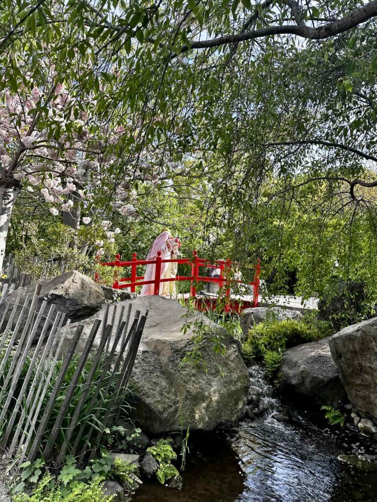 Au cœur du Parc Borély, le Jardin botanique Édouard-Marie Heckel offre une parenthèse inattendue. Derrière ses allées discrètes se cache un véritable musée du vivant, où plus de 3 000 espèces venues des cinq continents composent un paysage à la fois scientifique et poétique. Un lieu à part, où l’on voyage sans quitter Marseille (cerisier japonais)