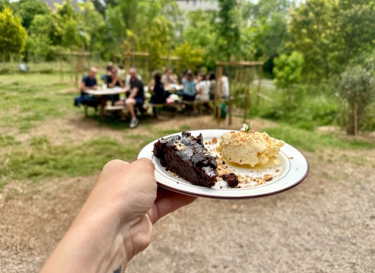 Au jardin du Tiers-Lab des Transitions à Marseille, le Café Comète propose chaque jour une cuisine végétarienne, botanique et anti-gaspi, à savourer. (dessert)