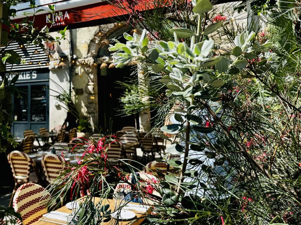 Kima Taverna - restaurant grec et méditerranéen à Marseille (plantes)