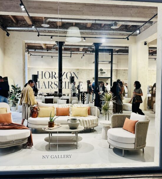 Showroom-boutique mobilier et décoration (entrée)