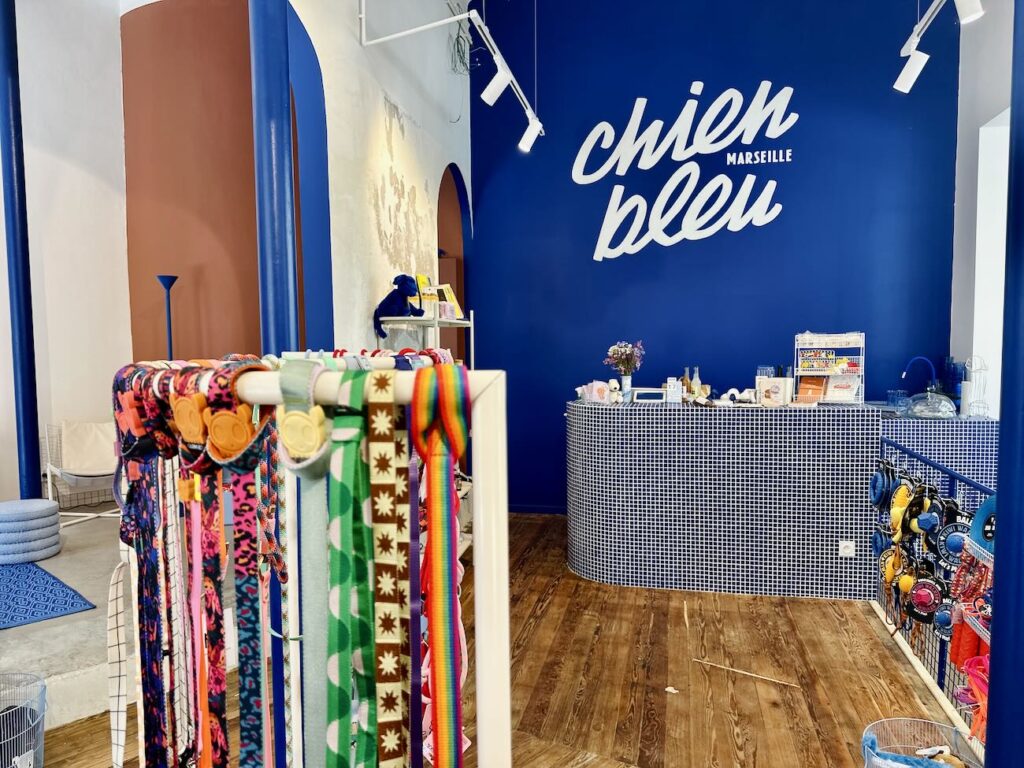 Chien Bleu est un concept-store canin situé entre le Vieux-Port et le quartier du Panier à Marseille. Il propose une boutique d'accessoires et de produits alimentaires, une garderie et un espace toilettage mais aussi une buvette pour leurs maîtres (buvette)