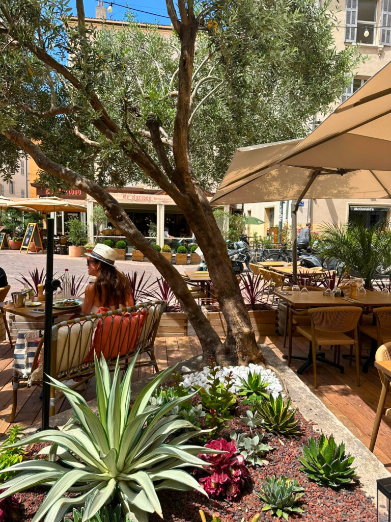 Le restaurant méditerranéen Gâté propose une cuisine du Sud généreuse et des cocktails signature dans une atmosphère chaleureuse et décomplexée (plantes)