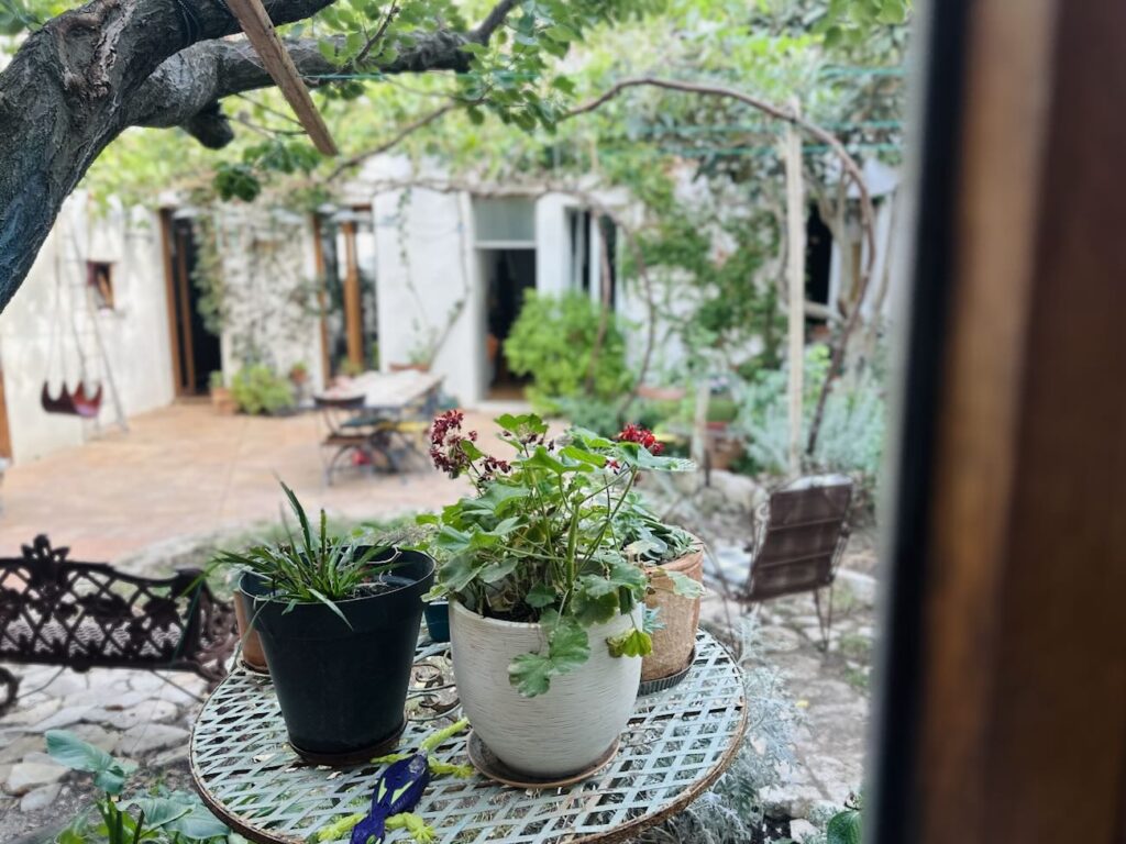 À la Madrague de Montredon, Montrose Studio est un nouvel atelier de céramique à Marseille imaginé par Alya Kazakevich. Dans un lieu lumineux ouvert sur un patio, la céramiste propose des cours et ateliers pour enfants et adultes, entre modelage, création et expérimentation (plantes)